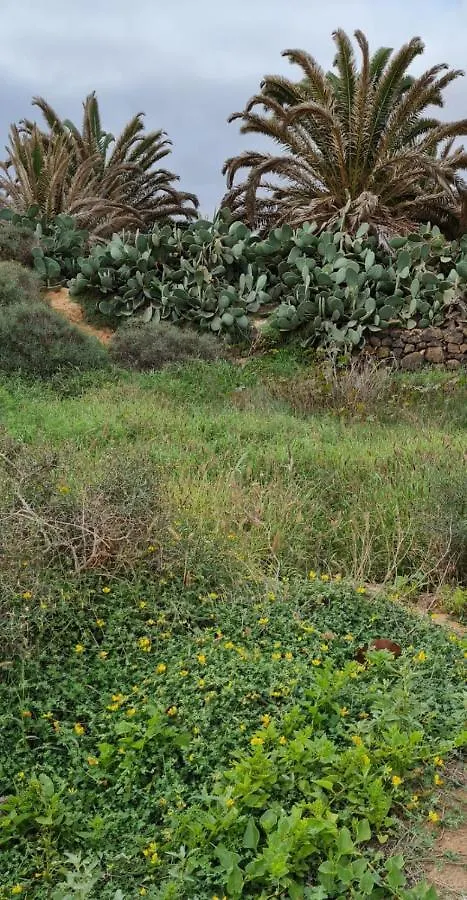 Ca.Marcela. 200 Metros Del Mar. Puerto de las Lajas 0*,  Espagne